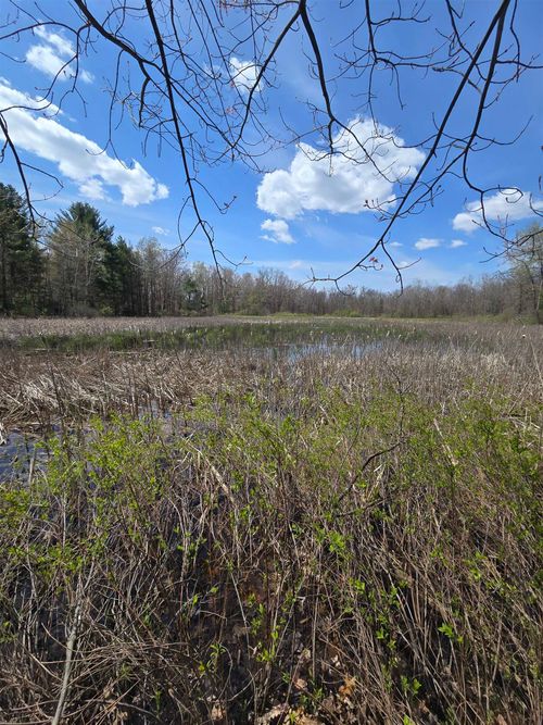 TBD E Baseline Rd, White Cloud, MI, 49349 | Card Image