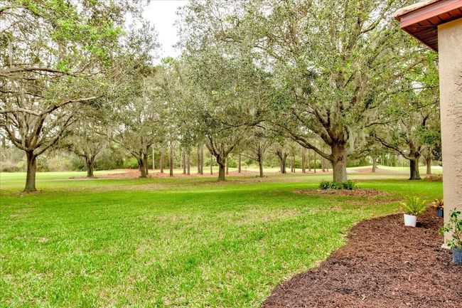 25921 San Rafael Ct, House other with 2 bedrooms, 2 bathrooms and null parking in HOWEY IN THE HILLS FL | Image 59