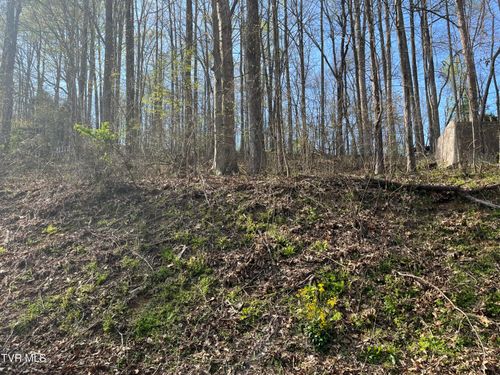 Tbd Wedgewood Dr, Big Stone Gap, VA, 24219 | Card Image