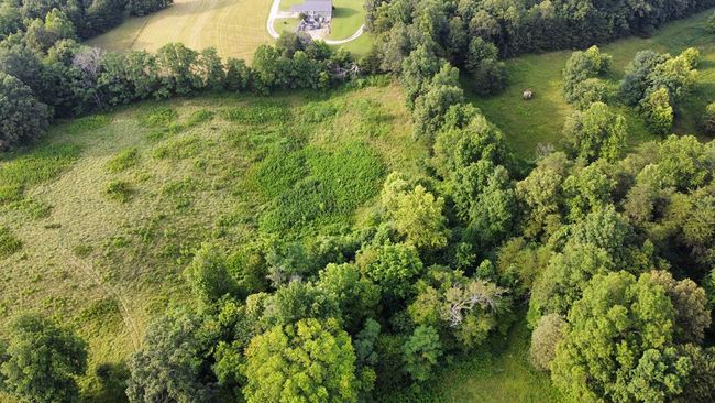 33.64 ac Davis Rd, Home with 0 bedrooms, 0 bathrooms and null parking in Livingston TN | Image 29