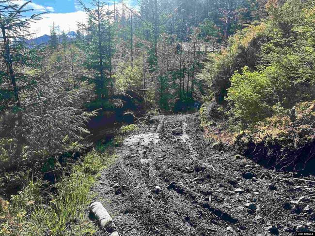 L16, 17, 20 B1 Middle Island, House other with 2 bedrooms, 1 bathrooms and null parking in Sitka AK | Image 37