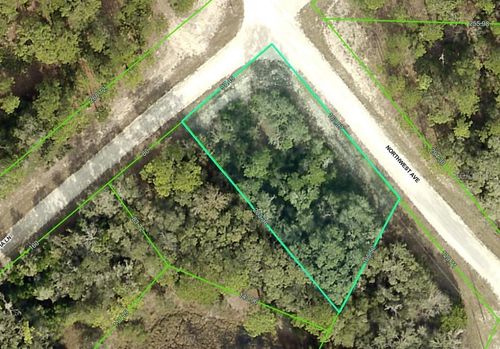 lot-32-0 Northwest Avenue, WEBSTER, FL, 33597 | Card Image