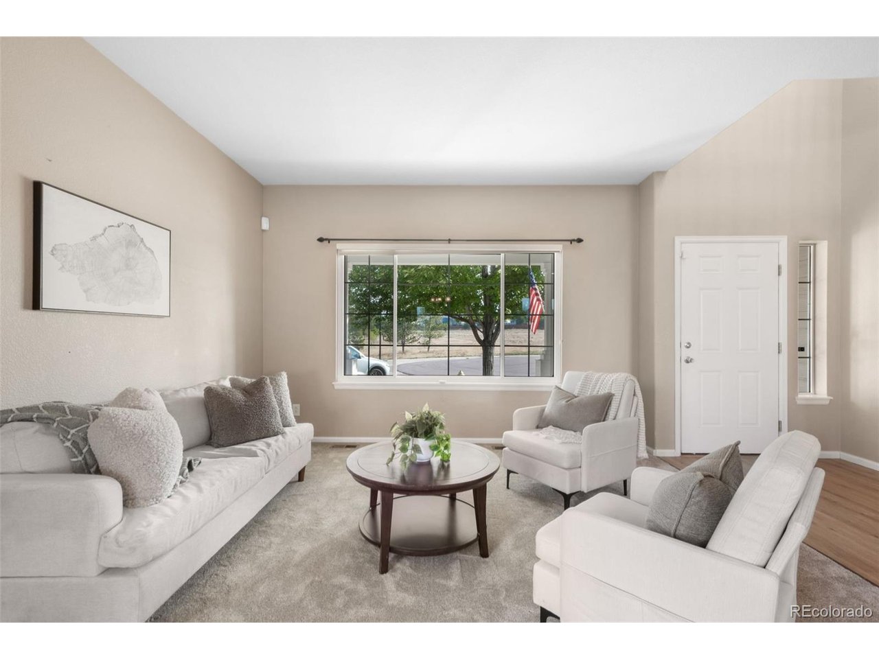 Residential in Castle Rock 5