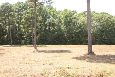 Lot 4 Peaceful Pines, Home with 0 bedrooms, 0 bathrooms and null parking in Vivian LA | Image 1