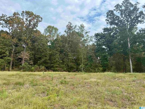 40-00 Hickory Ridge Rd, ONEONTA, AL, 35121 | Card Image