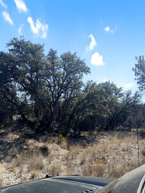 TBD Fm 2083, Comstock, TX, 78837 | Card Image