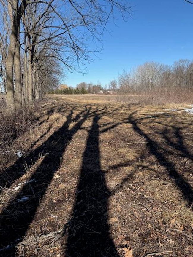 6614 Ziebell Rd, Home with 0 bedrooms, 0 bathrooms and null parking in JEFFERSON WI | Image 5