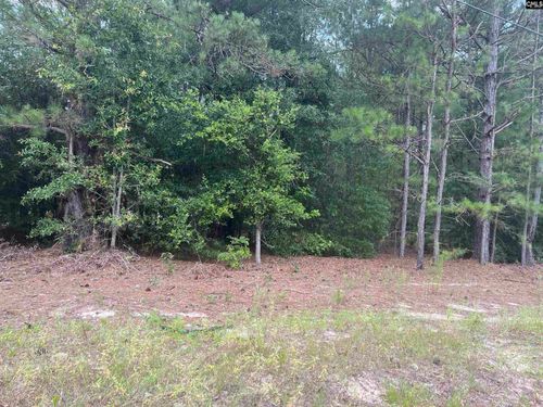 TBD Festival Trail Rd, Salley, SC, 29137 | Card Image