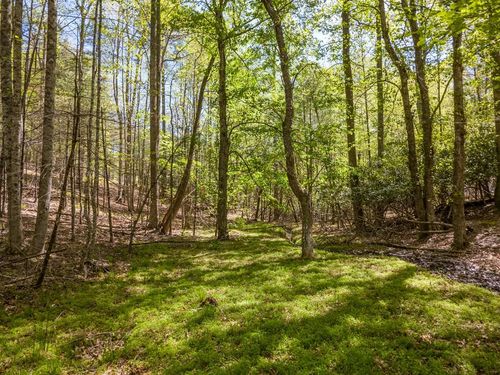 Lot 11 Ridge Line Trail, Independence, VA, 24348 | Card Image