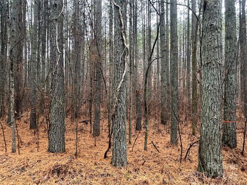 0 Frog Creek Rd, Union Mills, NC, 28167 | Card Image