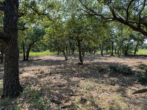 462 Hcr 1430, Covington, TX, 76636-4564 | Card Image