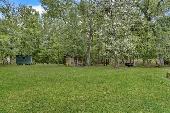 What a view out back - ready to fall in love? | Image 4