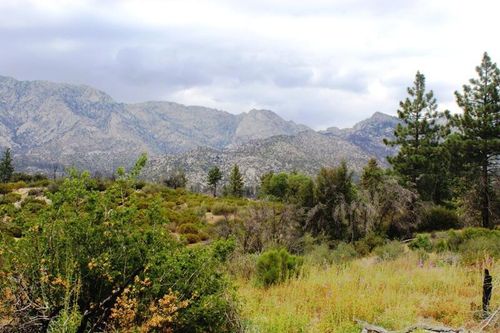 0 Bonita Vista Rd, Mountain Center, CA, 92561-3315 | Card Image