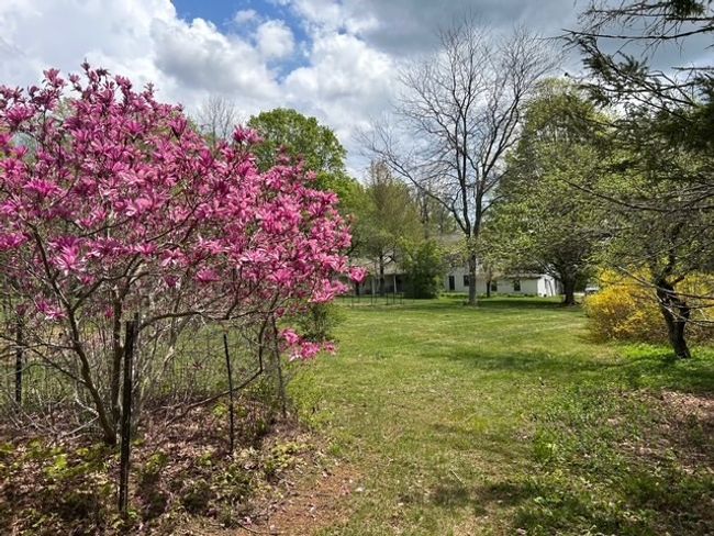 296 Main St, House other with 4 bedrooms, 3 bathrooms and 4 parking in Plainfield MA | Image 41