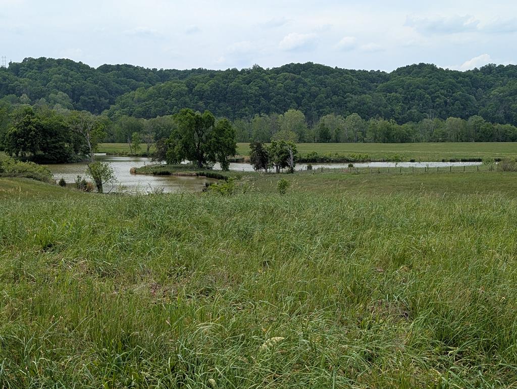 Land in Burkesville