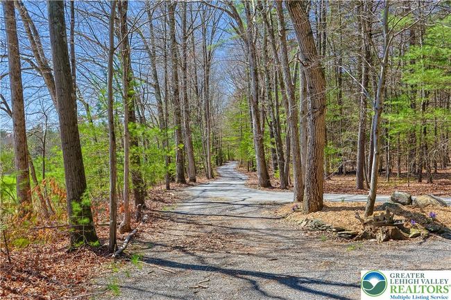 Through Park Like Setting with Pristine Open Woods | Image 4