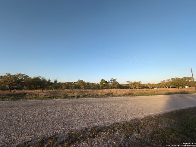 Twisted Oak side, wide view | Image 13