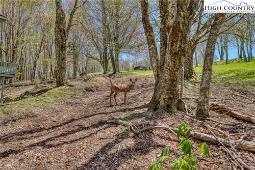 201 Grassy Gap Loop Rd, Beech Mountain, NC, 28604-8077 | Card Image