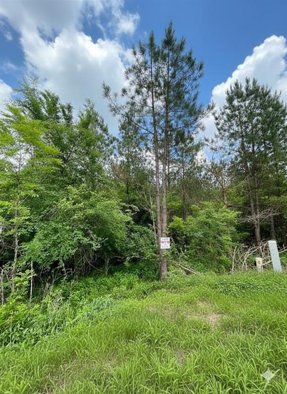 Land in Broken Bow 4
