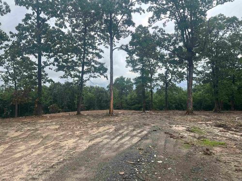 533 Eagle View, Clinton, AR, 72031 | Card Image