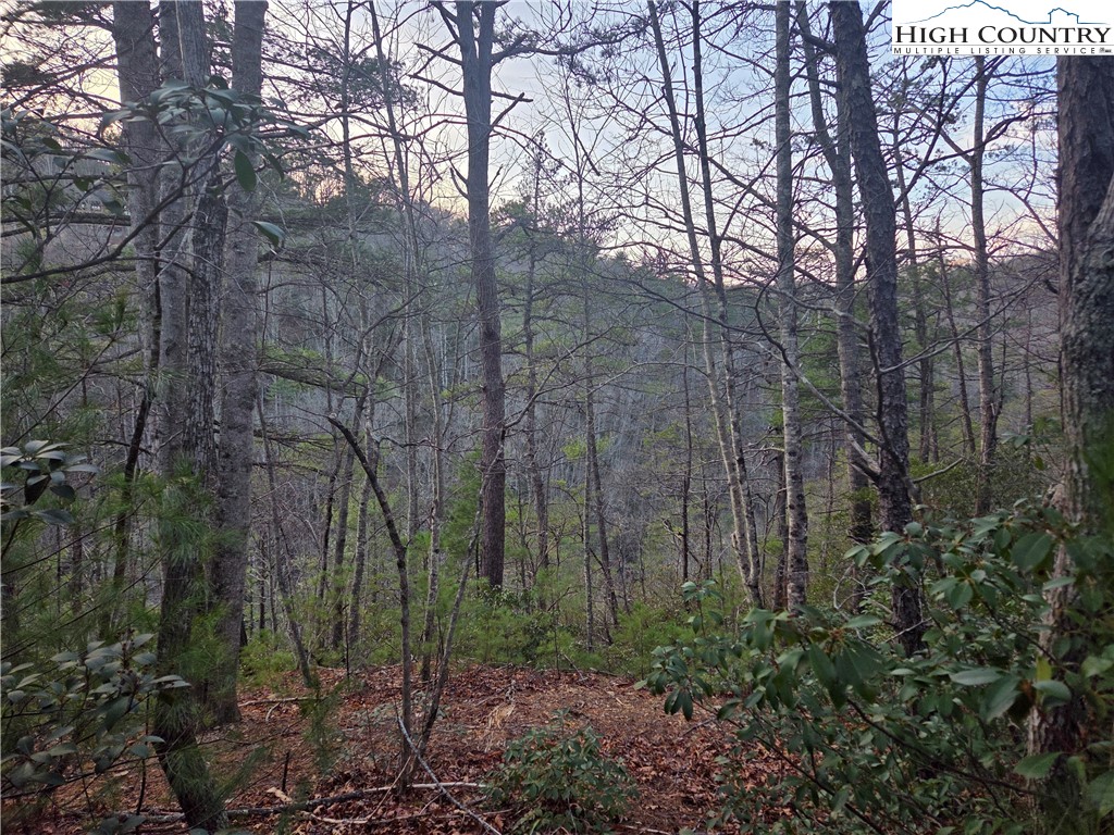 Land in Deep Gap 2