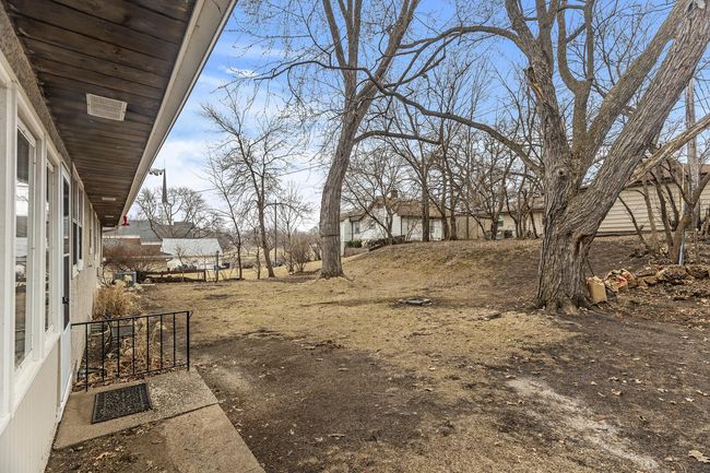Mature trees provide cooling shade | Image 29