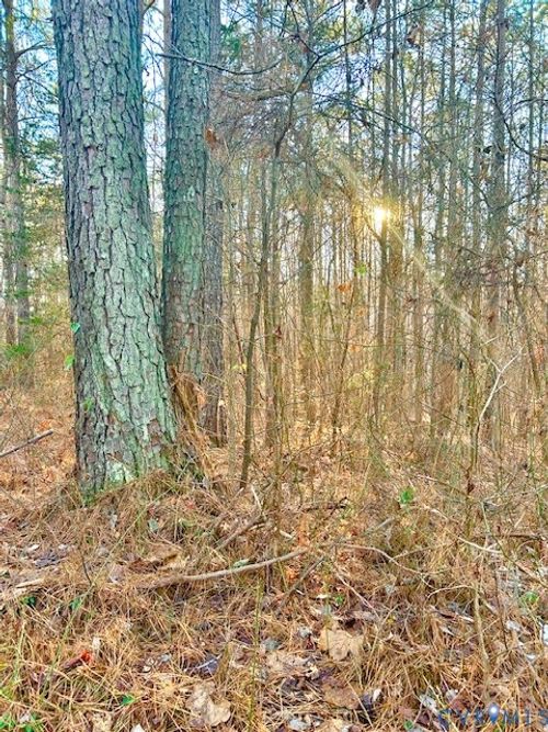 19331 River Rd, Chesterfield, VA, 23838-1018 | Card Image