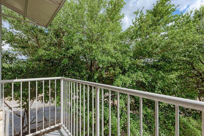 View of trees | Image 18