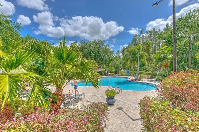 UNIT-207 - 13210 Arbor Isle Dr, Condo with 1 bedrooms, 1 bathrooms and null parking in TEMPLE TERRACE FL | Image 27