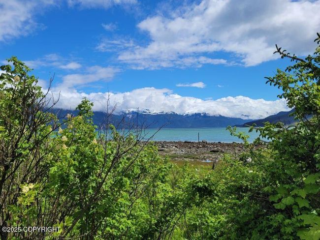 8 View through trees | Image 8