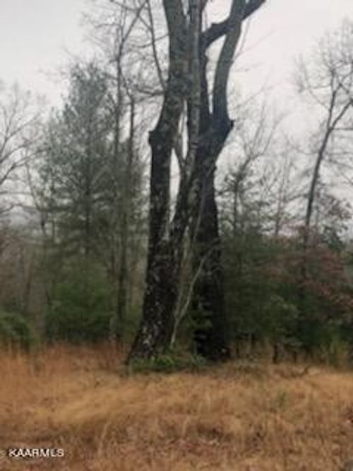 0 Sexton Loop / Copperhead Rd, Oakdale, TN, 37829 | Card Image