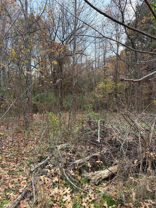 814 E Webb St, Mountain View, AR, 72560-6144 | Card Image