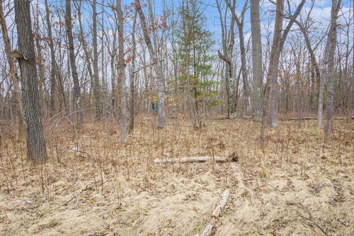 V/L N Woodbridge Road, Bitely, MI, 49309 | Card Image