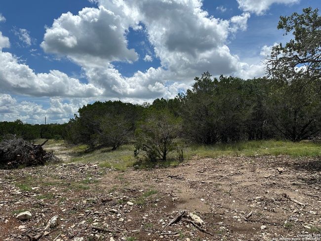 7131 Rebecca Creek Rd, Home with 0 bedrooms, 0 bathrooms and null parking in Spring Branch TX | Image 5