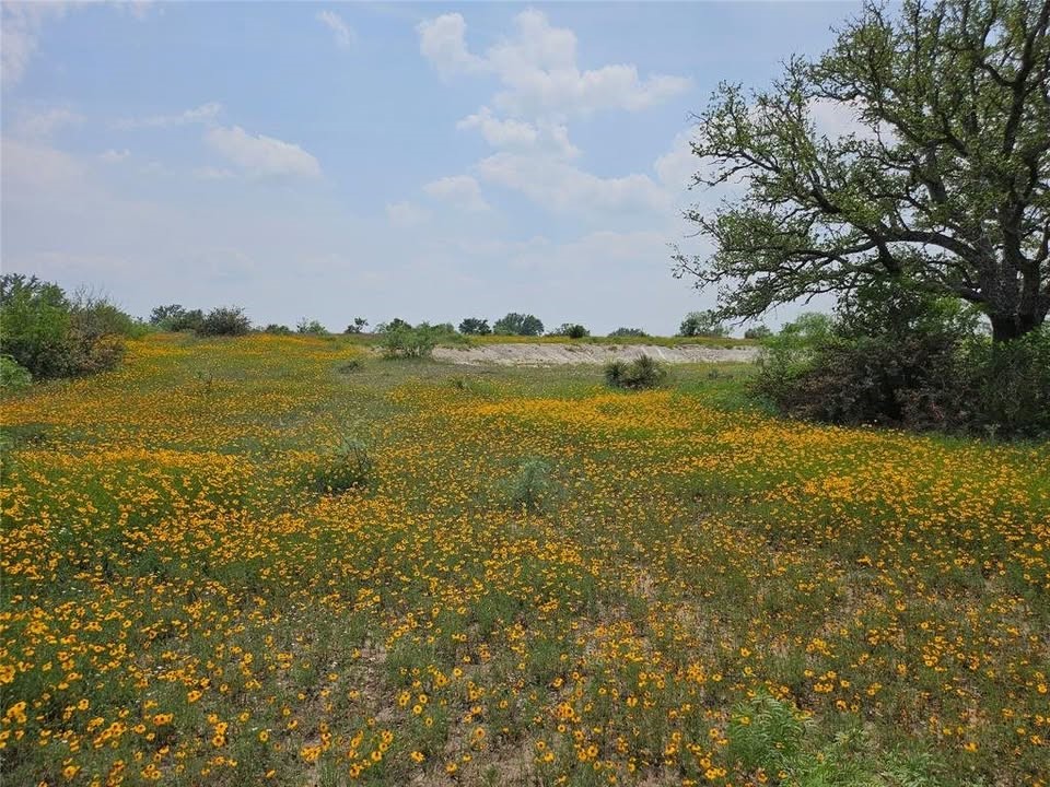 Land in Mason 2