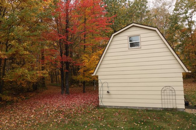 Fall Foliage is Stunning! | Image 46