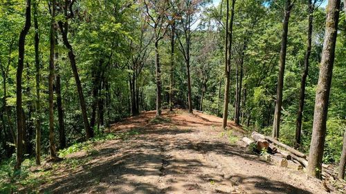 3 Black Rock Trl, Andrews, NC, 28901 | Card Image