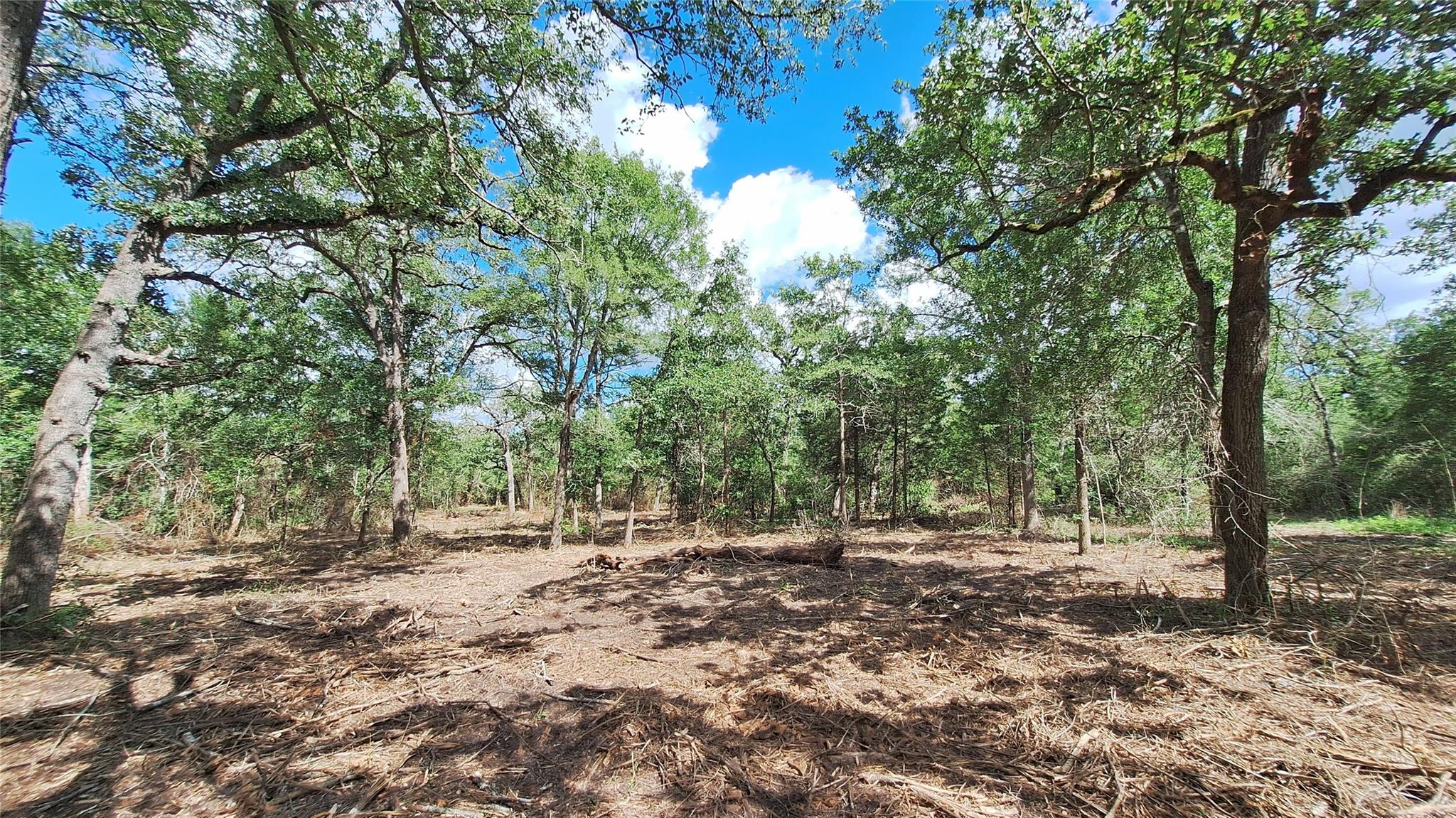 Land in Caldwell 4