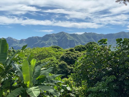 49-2110 Kaneka St, LIHUE, HI, 96766-8011 | Card Image