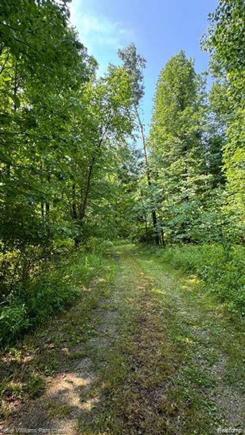 0000 Vik Mar Ln, Attica, MI, 48412 | Card Image