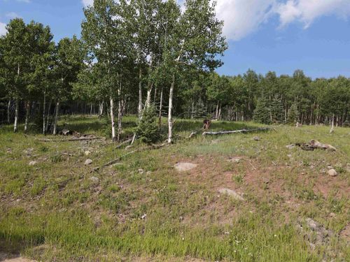 Lot 181 El Camino Real, Angel Fire, NM, 87710-8166 | Card Image