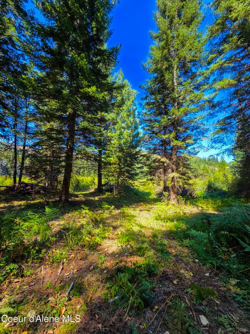 NNA Pup Paw Trl, Priest River, ID, 83856 | Card Image