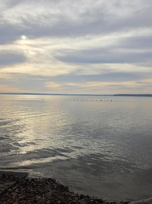 W9592 W Lake Dr Drive, Sumner, WI, 53534 | Card Image