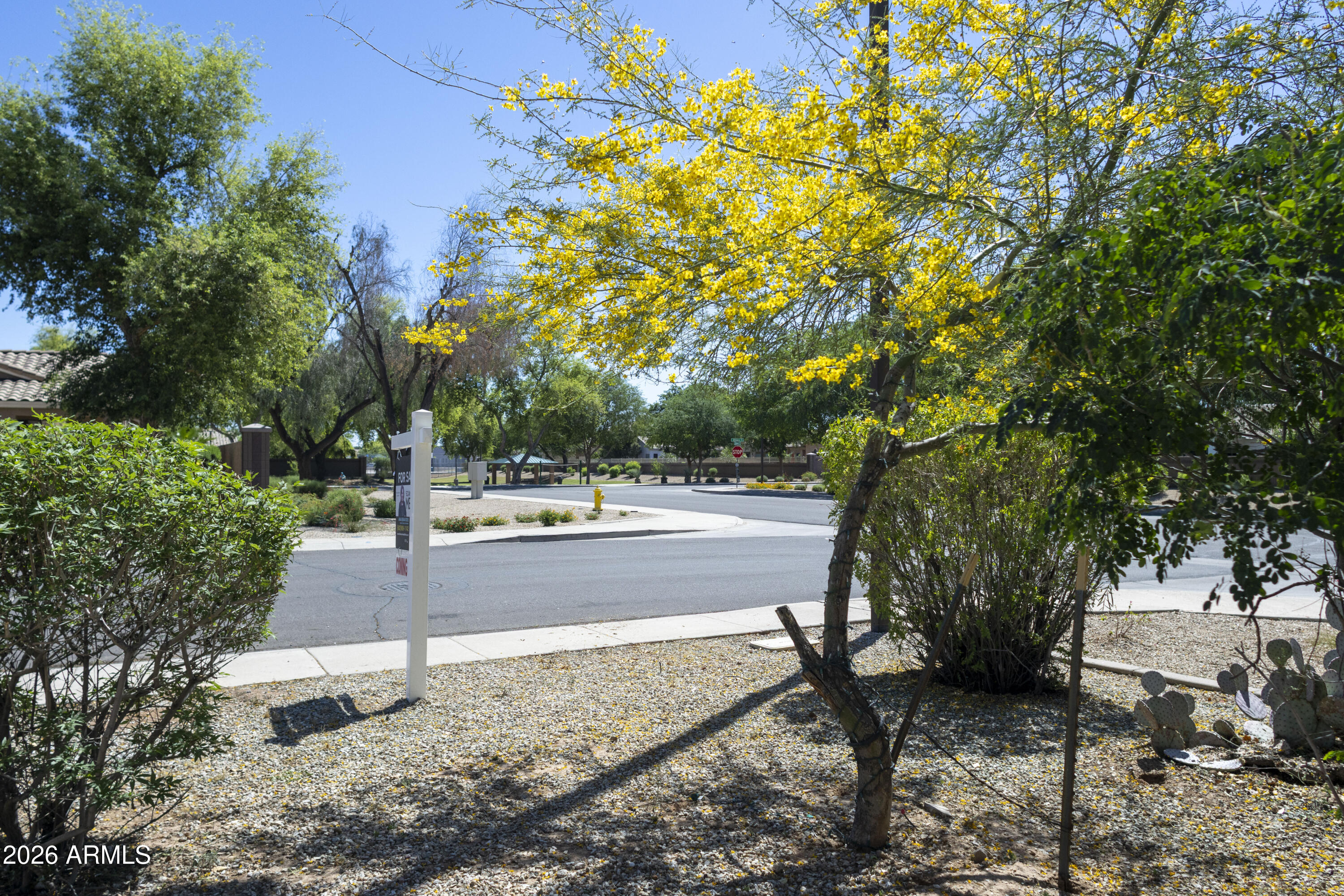 Residential in Gilbert 4