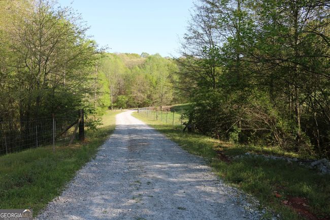 1241 Manley Martin Rd, Home with 3 bedrooms, 2 bathrooms and 3 parking in Danielsville GA | Image 29