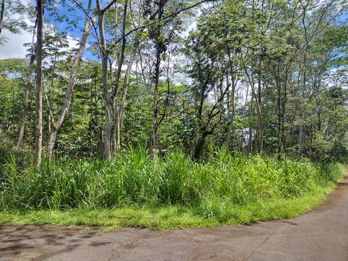 14-3302 Donnybrook Ln, PAHOA, HI, 96778 | Card Image