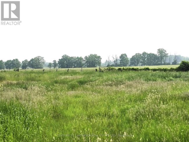 4893 Old Highway 2 Highway, Home with 4 bedrooms, 2 bathrooms and 9 parking in Belleville (Belleville Ward) ON | Image 23