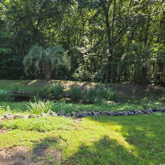 View of green lawn | Image 39