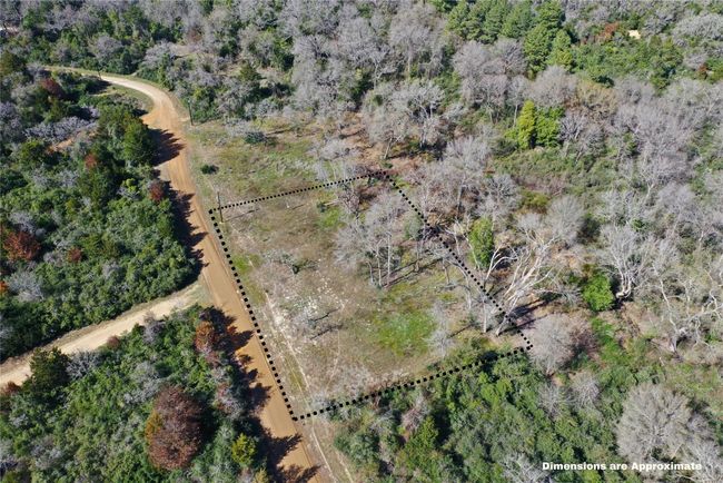 0 Sycamore Branch Rd, Home with 0 bedrooms, 0 bathrooms and null parking in Normangee TX | Image 9
