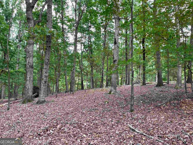 0 Peach Orchard Dr, Home with 0 bedrooms, 0 bathrooms and null parking in Alto GA | Image 22